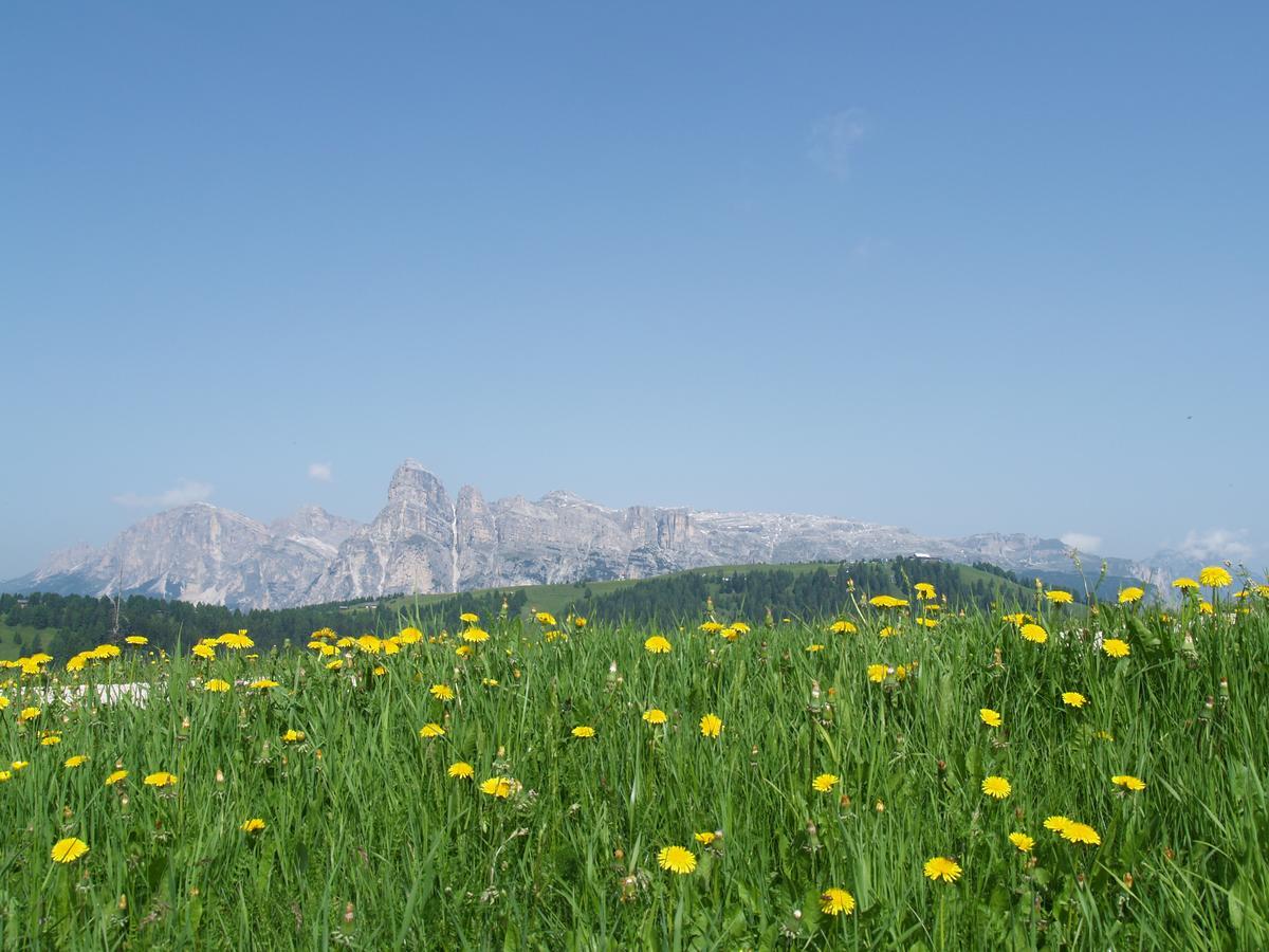 Residence Vajolet San Cassiano San Cassiano  Exterior photo