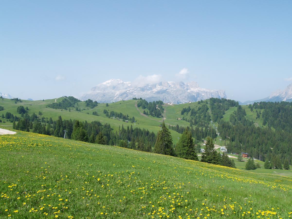 Residence Vajolet San Cassiano San Cassiano  Exterior photo